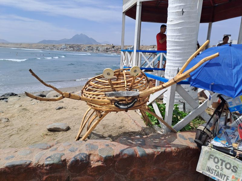 Hallooooo! Ich bin eine Krabbe!.