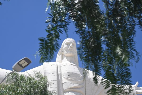Das Gesicht der Jesus-Statue durch einen Baum hindurch fotografiert.