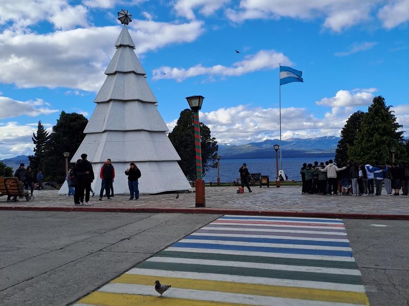 Weihnachtsbaum am Marktplatz.