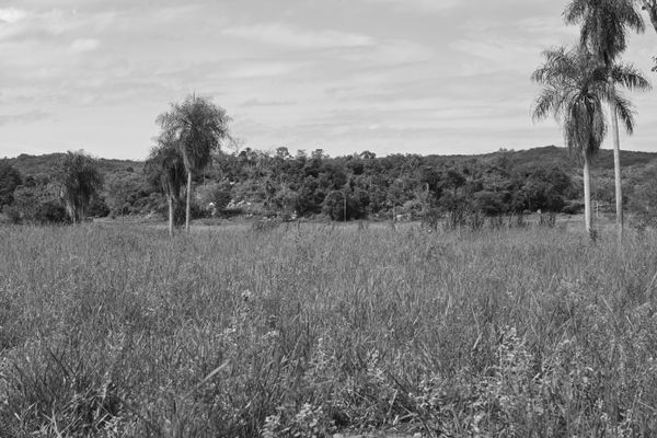 Aussicht auf die kleinen Hügel und Felder, die zum Bauernhof gehören.