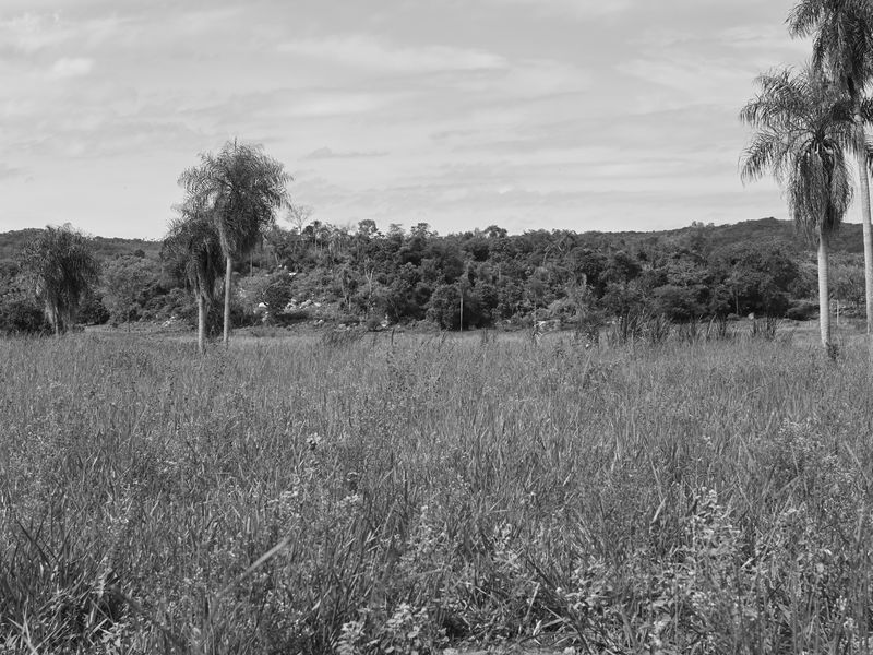 Aussicht auf die kleinen Hügel und Felder, die zum Bauernhof gehören.