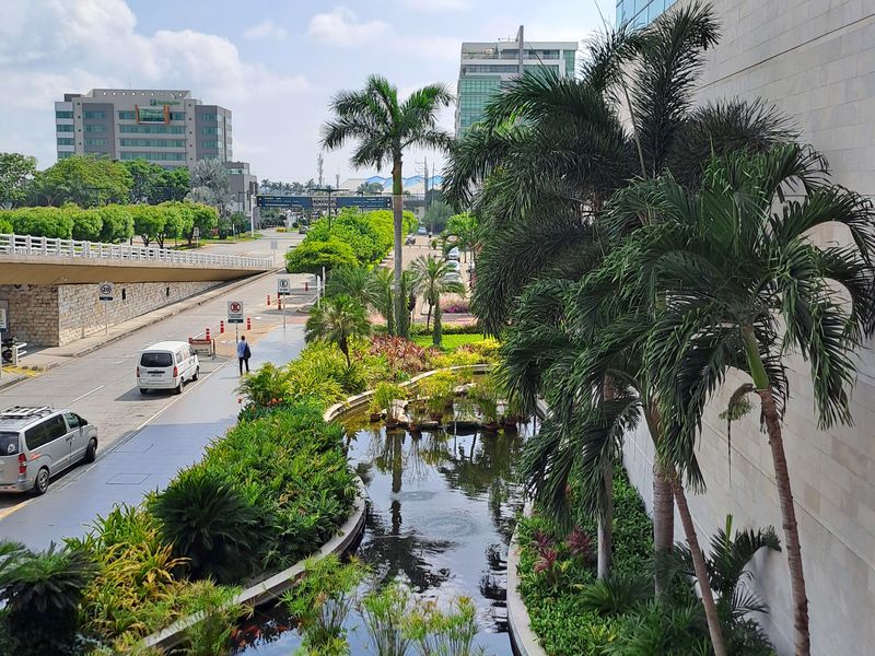 Der Flughafen war eigentlich ziemlich hübsch. Man konnte sogar die Goldfische im Wasser füttern.