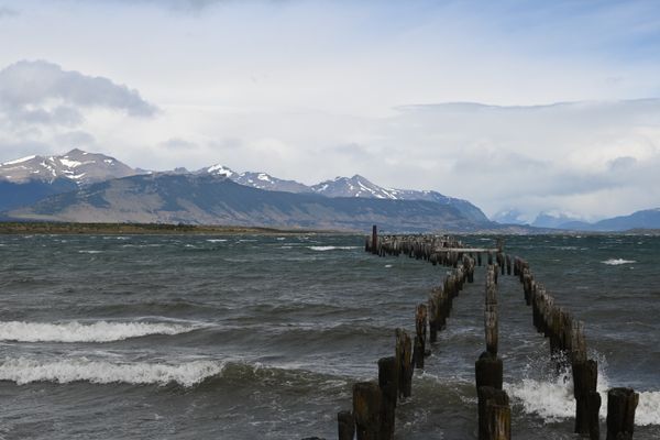 Die Holzpfähle eines alten Steges im Hafenbereich von Puerto Natales