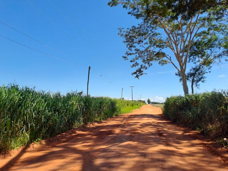Eine Sandstraße im Hinterland, bei brutzelnder Sonne.