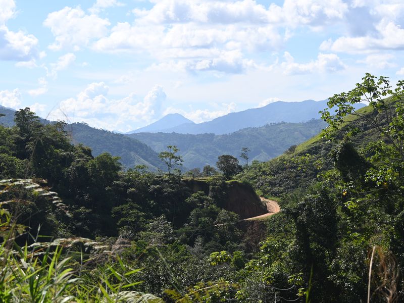 Straße, die durch den bergigen Zentralwald führt.