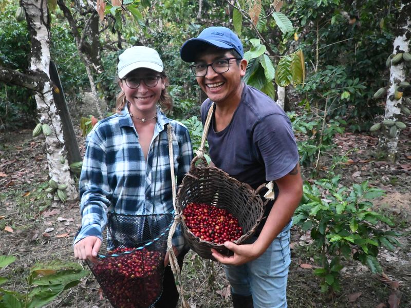 Anja und Richard zeigen ihre Kaffeebohnen Ernte.