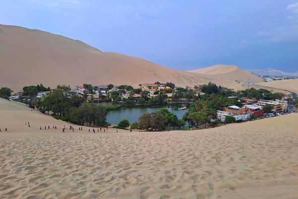 Ica, eine Oase in der Wüste mit Wasser und Bäumen. Sonst nur Wüste.