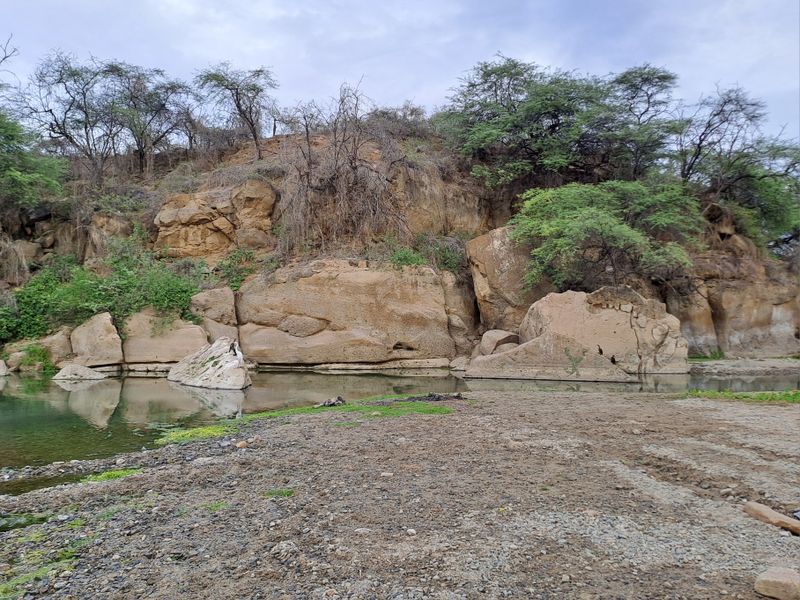 Eine tolle Gegend, hier im Trockenwald.