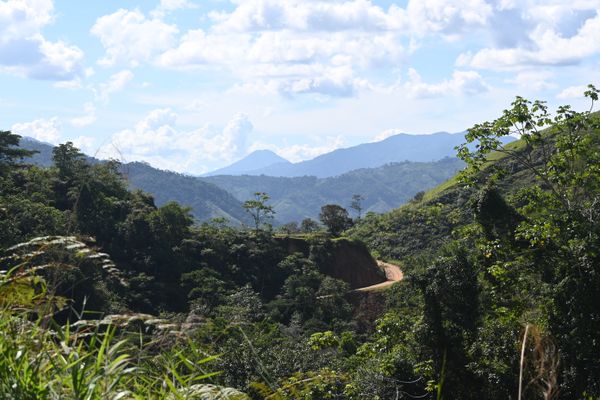 Straße, die durch den bergreichen Zentralwald führt.