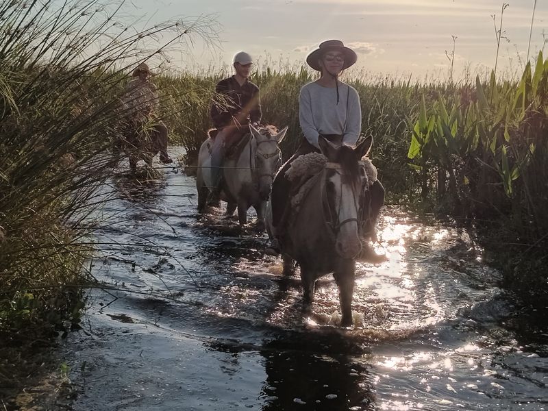 Pascal und Anja reiten durch etwas tieferes Wasser.