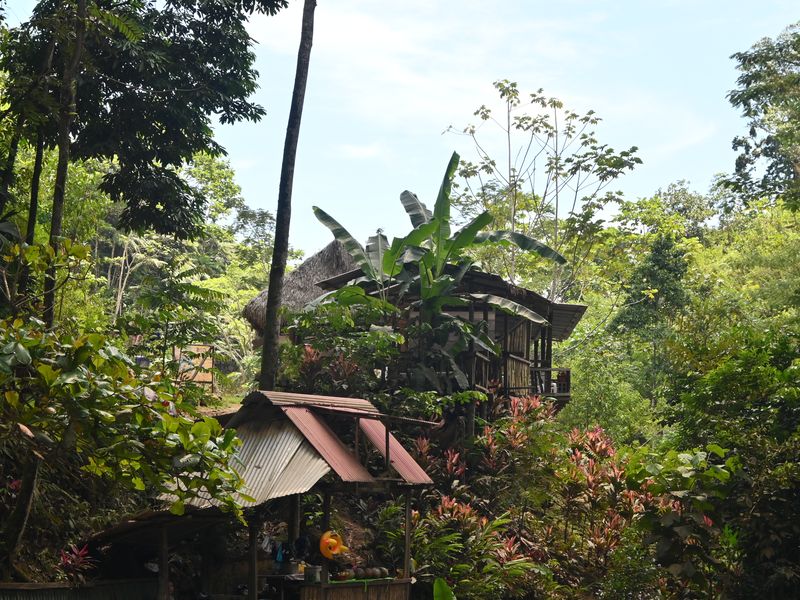 Eine Hütte in der Mitte lauter Bäume und sonstigen Pflanzen beim Wasserfall.