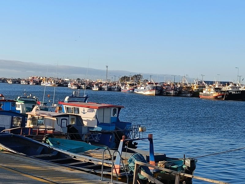 Romatische Hafenansicht bei Sonnenuntergang mit vielen Fischerbooten im Hafen