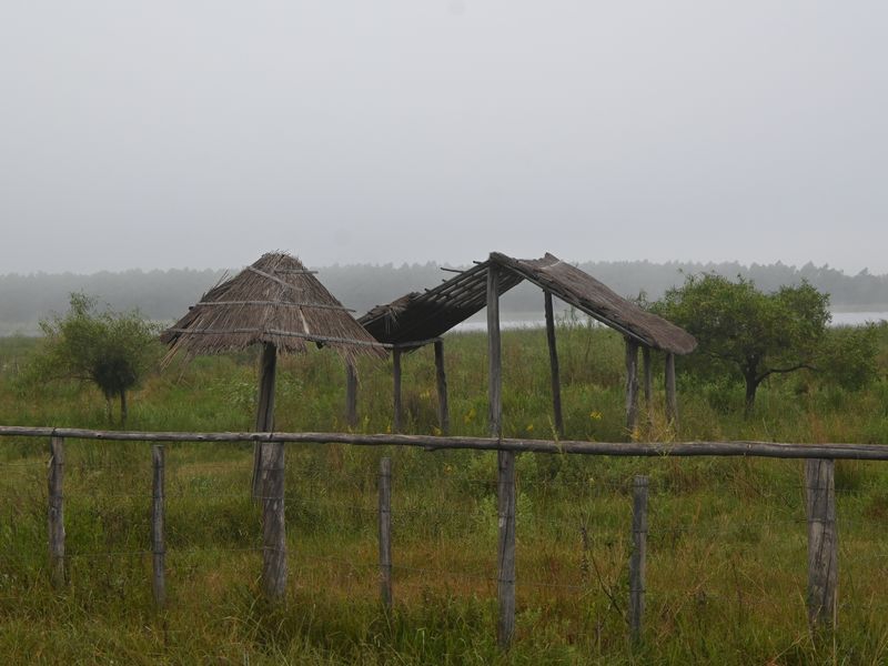 Einfache Hütten im Sumpf aus Stroh.
