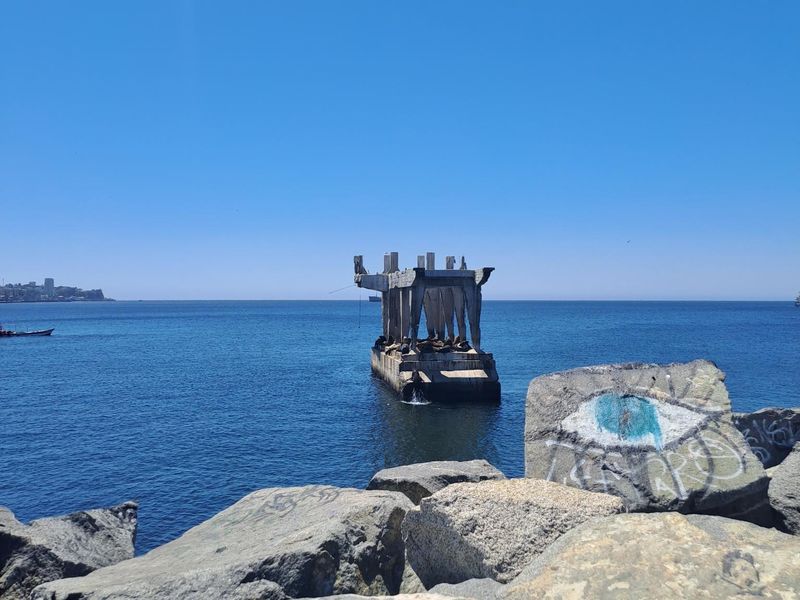 Seehunde auf einem alten Steg aus Beton im Hafen, der für die Tiere nur bei Flut erreichbar ist