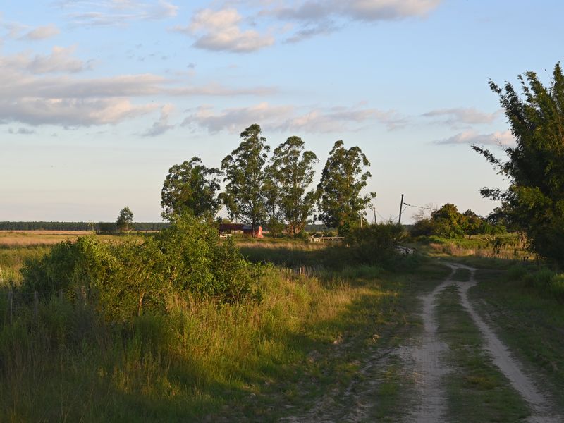 Ein Weg im Sumpf, der am besten nur mit geländegängigen Fahrzeugen benutzt werden sollte.