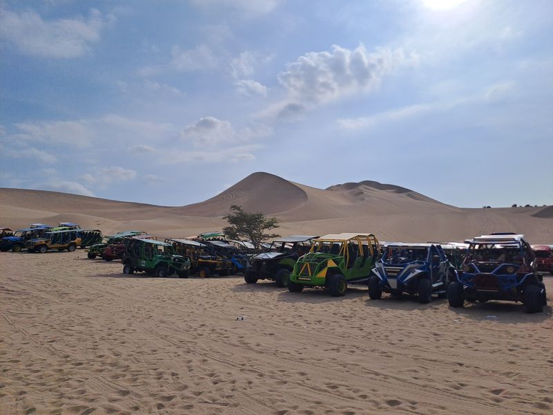 Mehrere Buggies stehen nebeneinander in der Wüste.