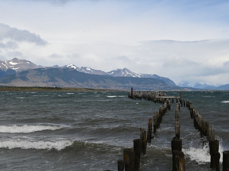Die Holzpfähle eines alten Steges im Hafenbereich von Puerto Natales