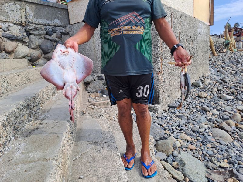 Hoffentlich hat der eine Lizenz und hoffentlich leben die nicht mehr…