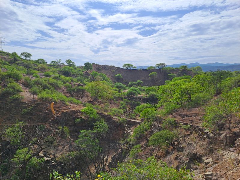 Trotz der enorm hohen Kosten war es ein schöner Tag.